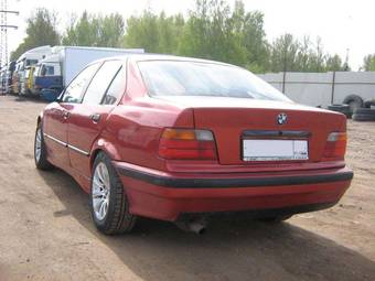 1993 BMW 3-Series Pictures