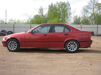 1993 BMW 3-Series Pictures