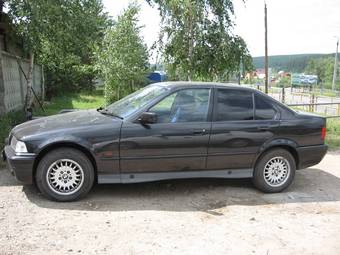 1993 BMW 3-Series Pictures