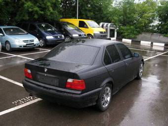 1993 BMW 3-Series Photos