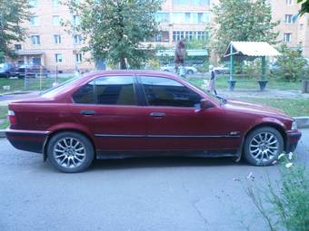 1993 BMW 3-Series Photos