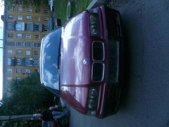 1993 BMW 3-Series Pictures