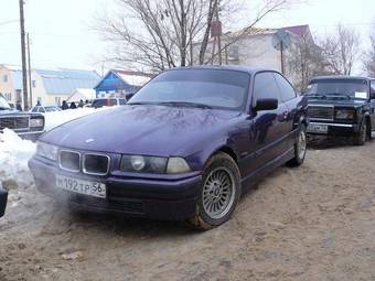 1994 BMW 3-Series Pictures