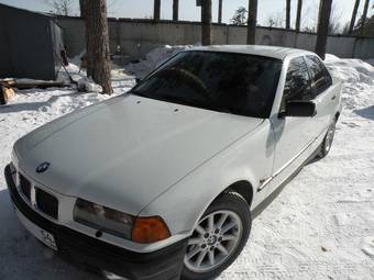 1994 BMW 3-Series Photos