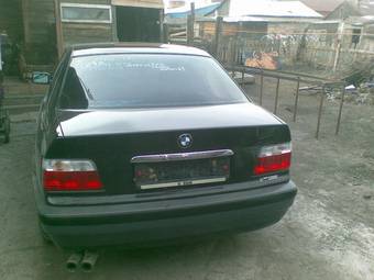1994 BMW 3-Series Pictures