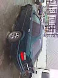 1994 BMW 3-Series Pictures
