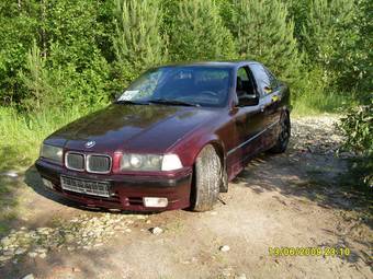 1994 BMW 3-Series Photos