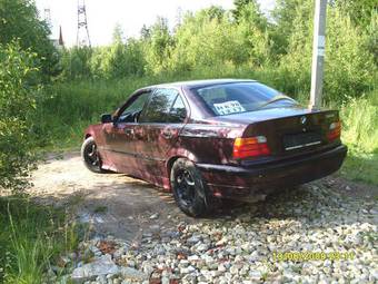 1994 BMW 3-Series Pictures