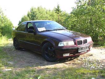 1994 BMW 3-Series Photos