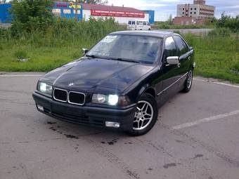 1994 BMW 3-Series Photos