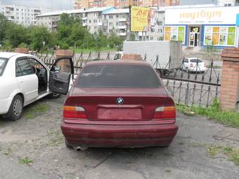 1994 BMW 3-Series Photos