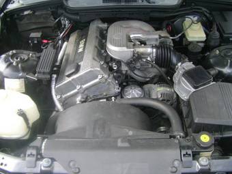 1994 BMW 3-Series Pictures