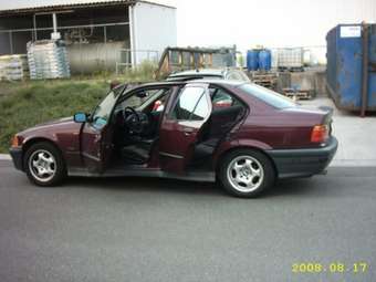 1995 BMW 3-Series Pictures