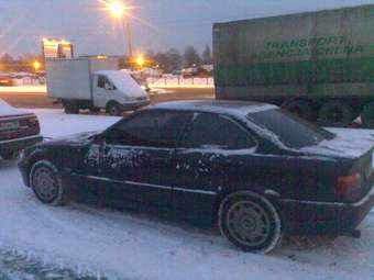 1995 BMW 3-Series Pictures