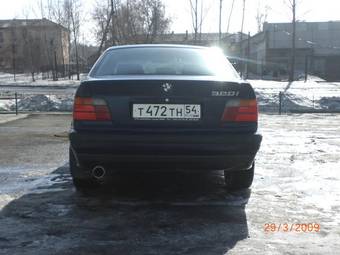 1995 BMW 3-Series Pictures