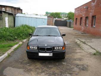 1995 BMW 3-Series For Sale
