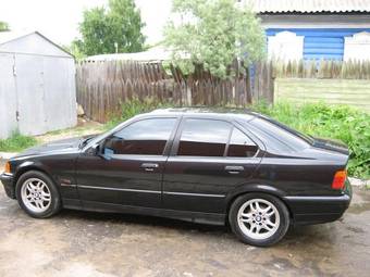 1995 BMW 3-Series Images