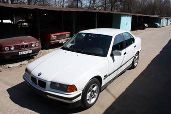 1995 BMW 3-Series Pictures