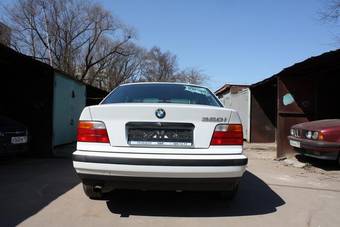 1995 BMW 3-Series Pictures
