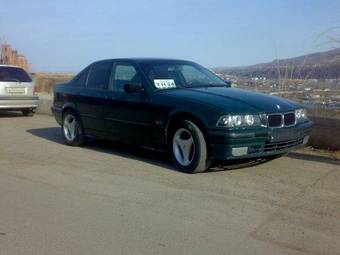 1995 BMW 3-Series Pictures