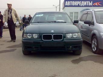 1995 BMW 3-Series Pictures