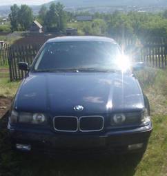 1995 BMW 3-Series Pictures