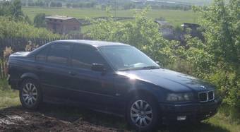 1995 BMW 3-Series Photos