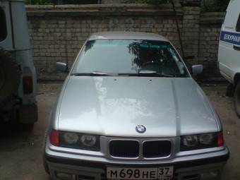 1995 BMW 3-Series Photos