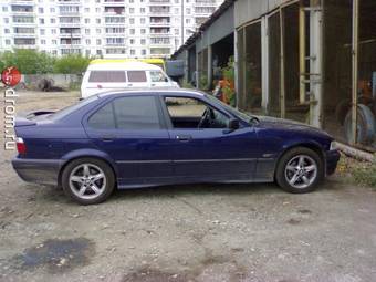 1995 BMW 3-Series Photos