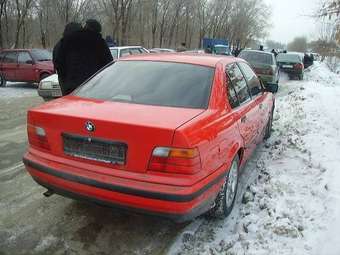 1996 BMW 3-Series Pictures