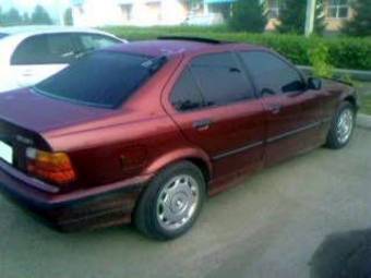 1996 BMW 3-Series Photos