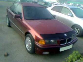 1996 BMW 3-Series Photos