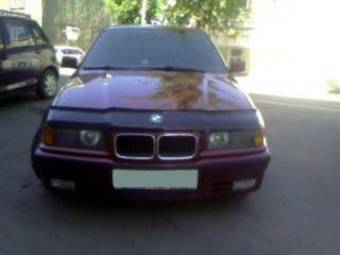 1996 BMW 3-Series Pictures