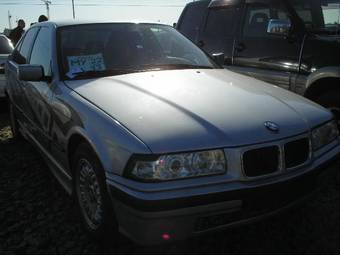 1996 BMW 3-Series Pictures