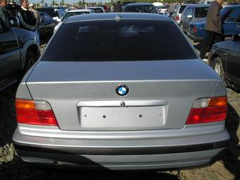 1996 BMW 3-Series Photos