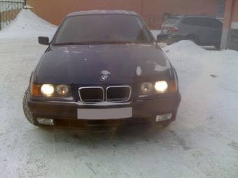 1997 BMW 3-Series Photos