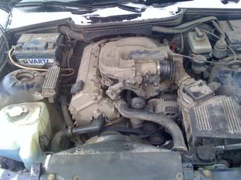 1997 BMW 3-Series Pictures