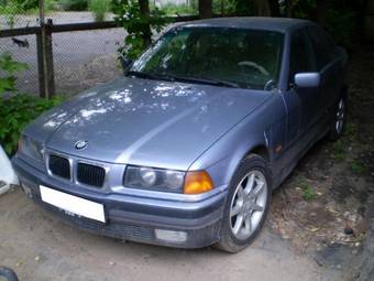 1997 BMW 3-Series Photos