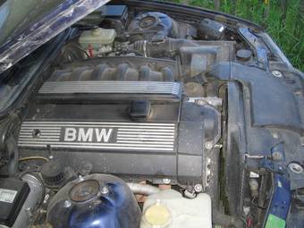 1997 BMW 3-Series Photos