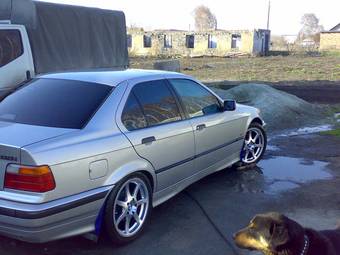 1997 BMW 3-Series Photos