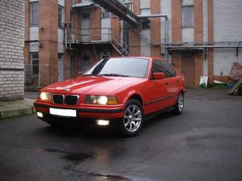 1997 BMW 3-Series Pictures