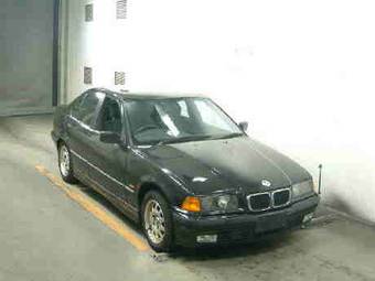 1998 BMW 3-Series Pictures