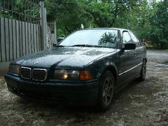 1998 BMW 3-Series Pictures