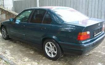 1998 BMW 3-Series Photos
