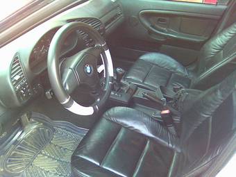 1999 BMW 3-Series Pictures
