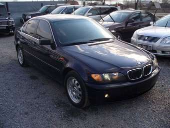 2003 BMW 3-Series Photos