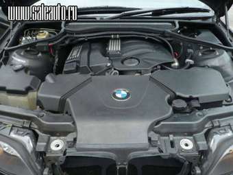 2003 BMW 3-Series Pics