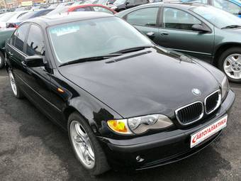 2003 BMW 3-Series Pics