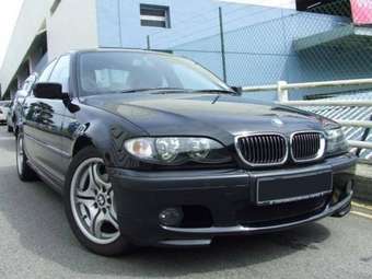 2004 BMW 3-Series Pictures