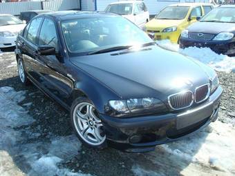2004 BMW 3-Series Pics